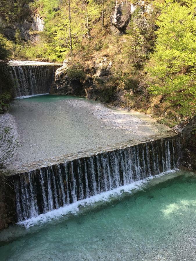 Apartments Vita Kranjska Gora Dış mekan fotoğraf