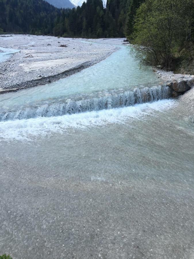 Apartments Vita Kranjska Gora Dış mekan fotoğraf